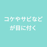 コケやサビなどが目に付く