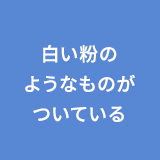 白い粉のようなものがついている